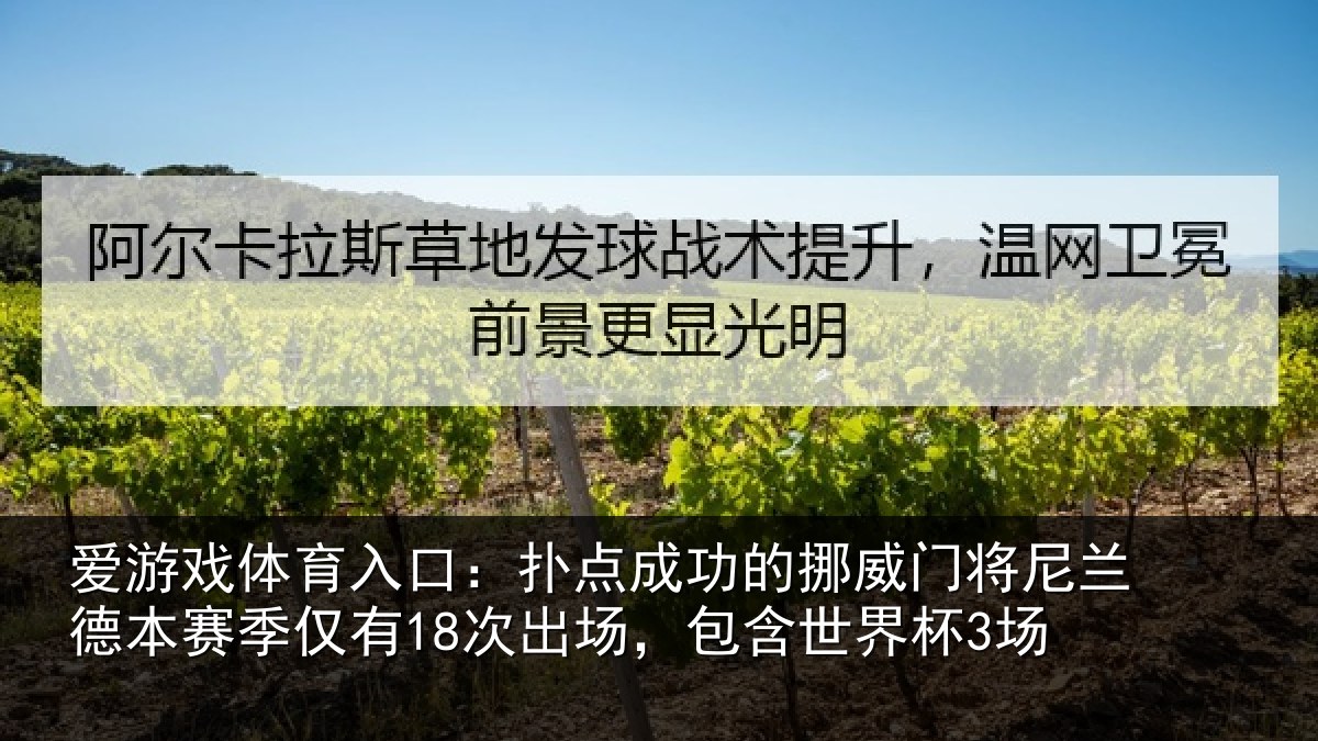 爱游戏体育入口：扑点成功的挪威门将尼兰德本赛季仅有18次出场，包含世界杯3场